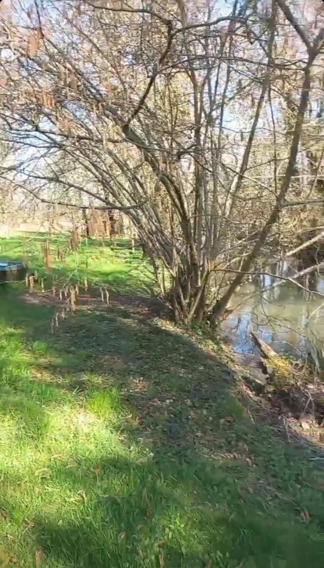 Hôtel Coul'O'Berge à Coulanges-les-Nevers Extérieur photo